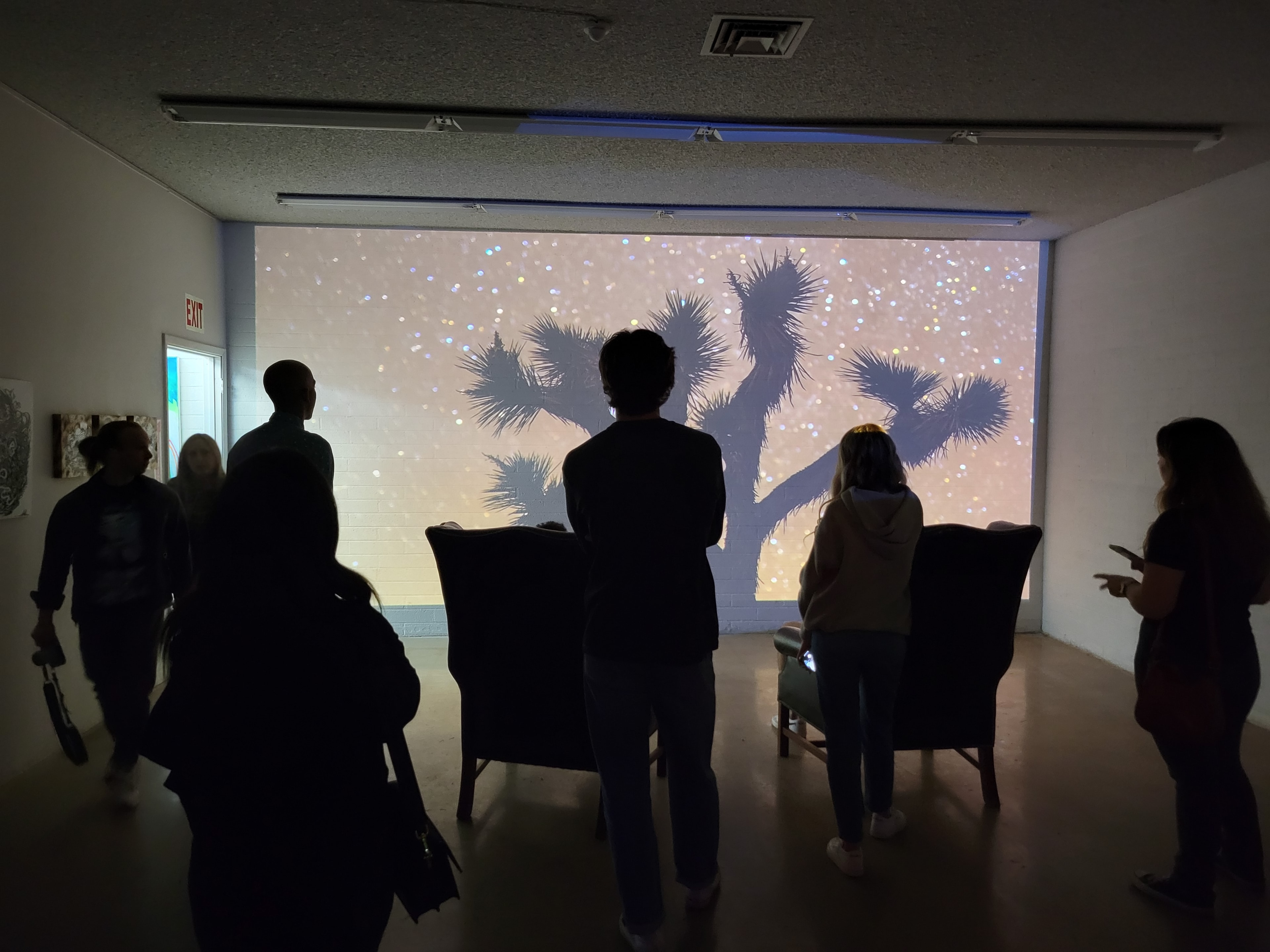 Artopia immersive projection room with Joshua tree silhouettes
