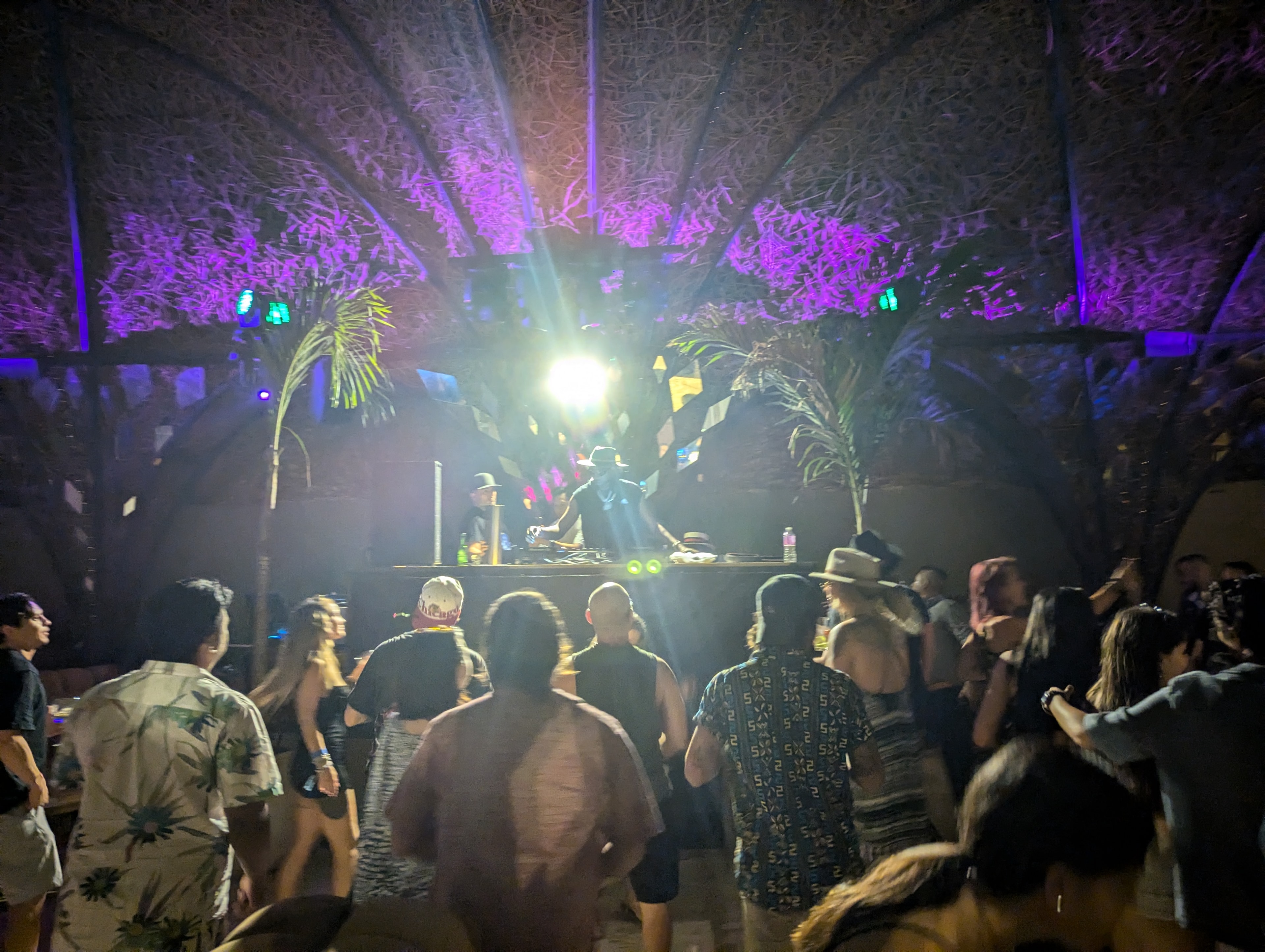 Intimate venue with purple lighting and palm trees at Destination Unknown